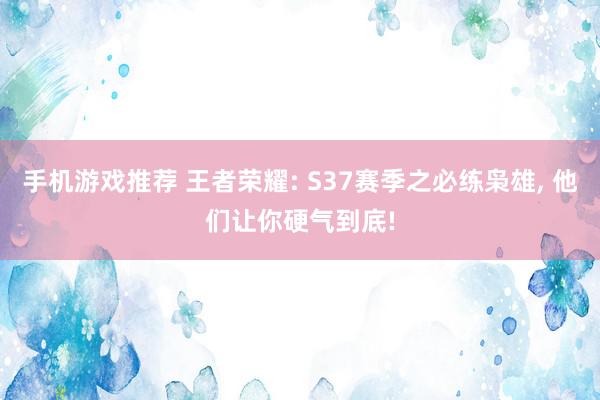 手机游戏推荐 王者荣耀: S37赛季之必练枭雄, 他们让你硬气到底!