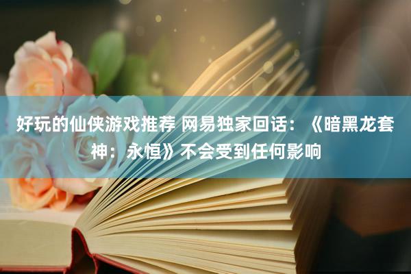 好玩的仙侠游戏推荐 网易独家回话：《暗黑龙套神：永恒》不会受到任何影响